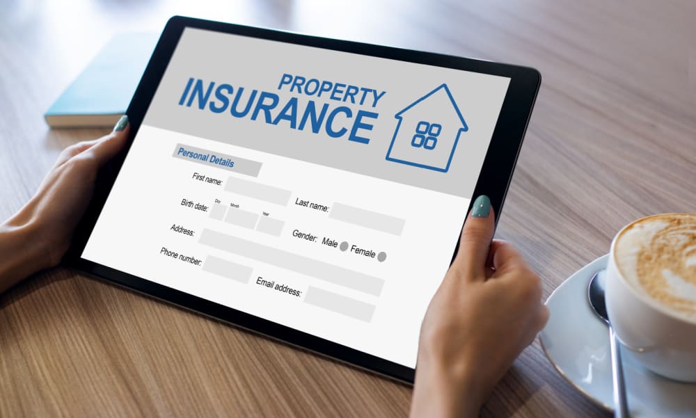 Female hands reviewing a property insruance application on a tablety Understanding Property Insurance Deductibles